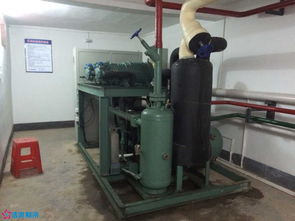 低温酸奶学问多 制冷设备不能少