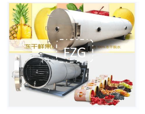 果蔬冻干生产线需投资多少