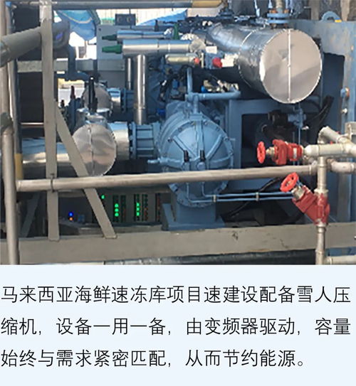 雪人集团亮相越南渔博会 引领水产加工制冷新纪元