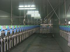 专业制冷解决方案 雪力制冷工程公司冻库安装服务与产品展示